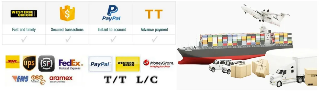 Shipping and Payment Methods
