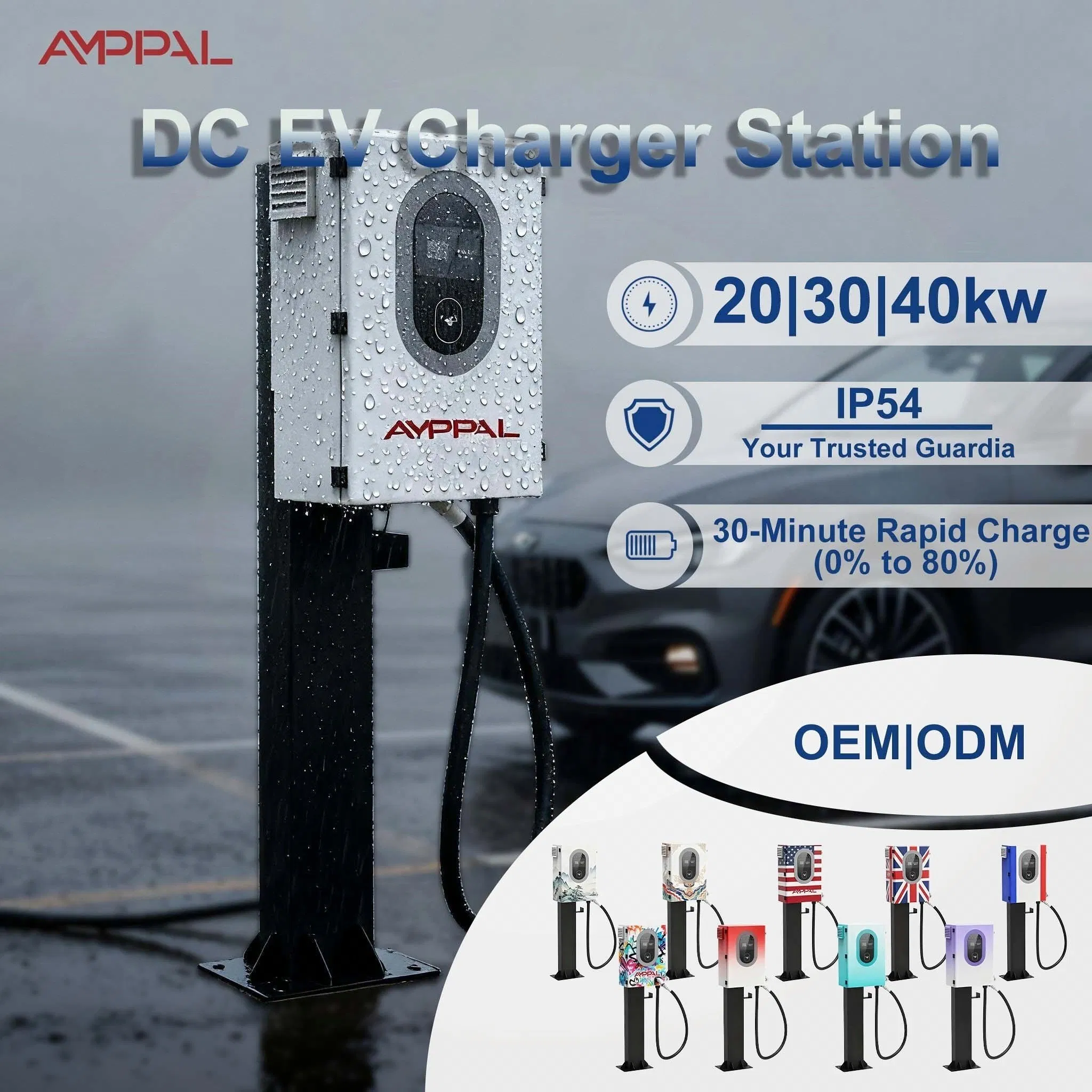 Amppal IoT Enabled 20kw 30kw 40kw Charging System