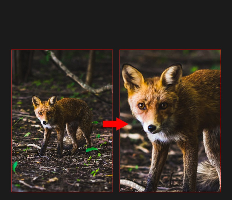 Night Vision Camera, Night Vision Goggles Device for Outdoor Hunting