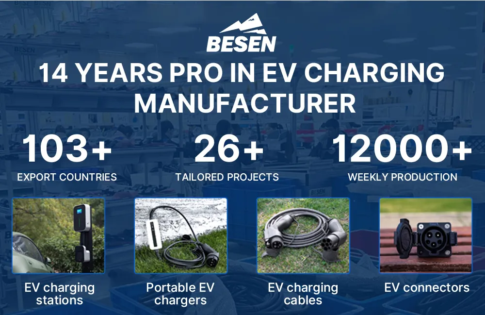 Professional Experience