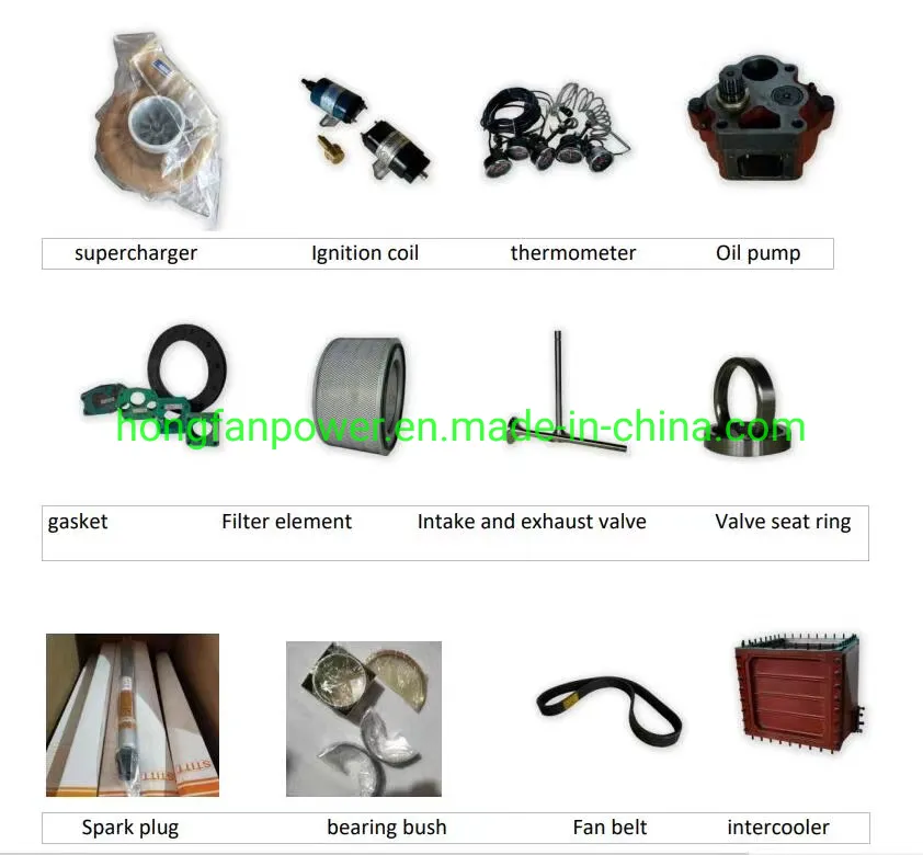 قطع غيار صيانة متوسطة لمحرك جيتشاي تشيدونغ G12V190zlc1 لمكونات مضخة الزيت 223.17.00