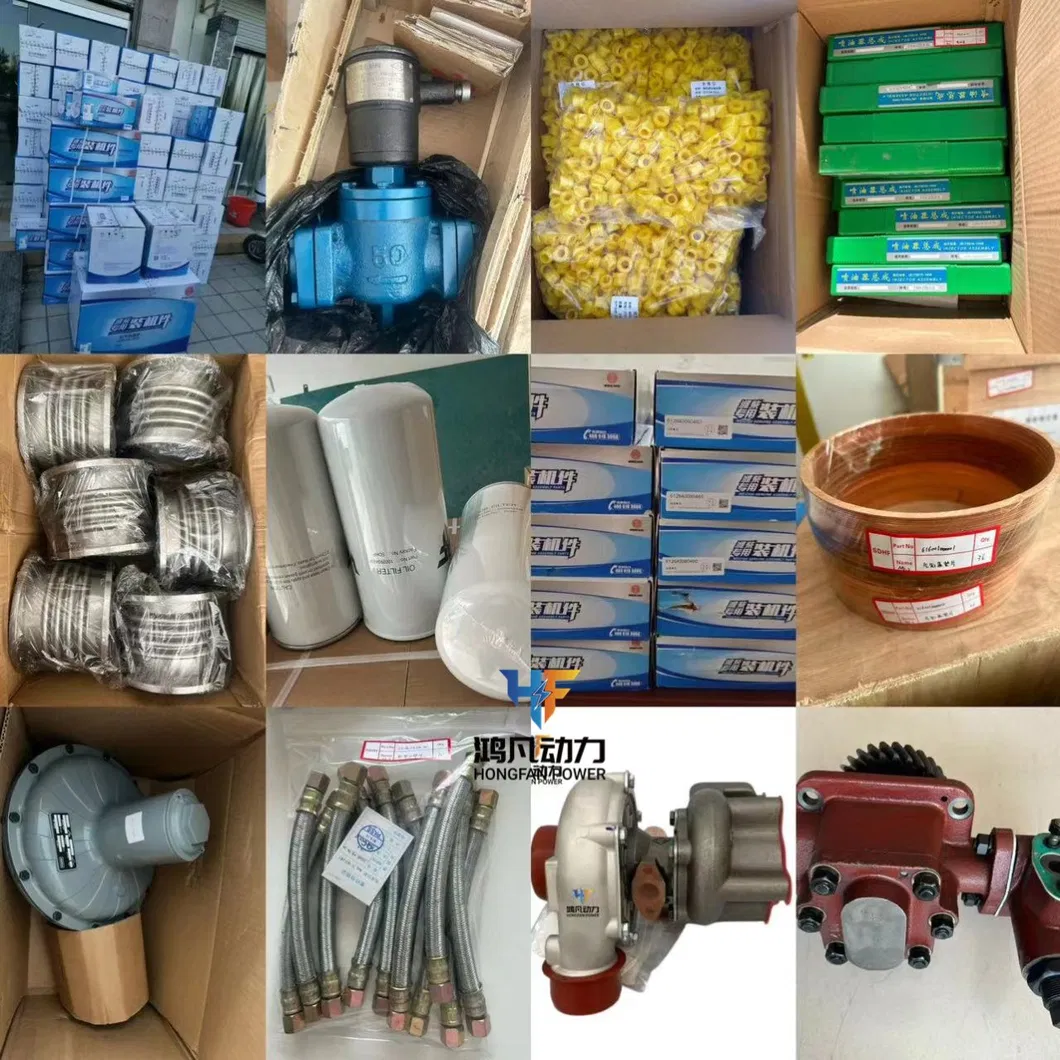 قطع غيار صيانة متوسطة لمحرك جيتشاي تشيدونغ G12V190zlc1 لمكونات مضخة الزيت 223.17.00