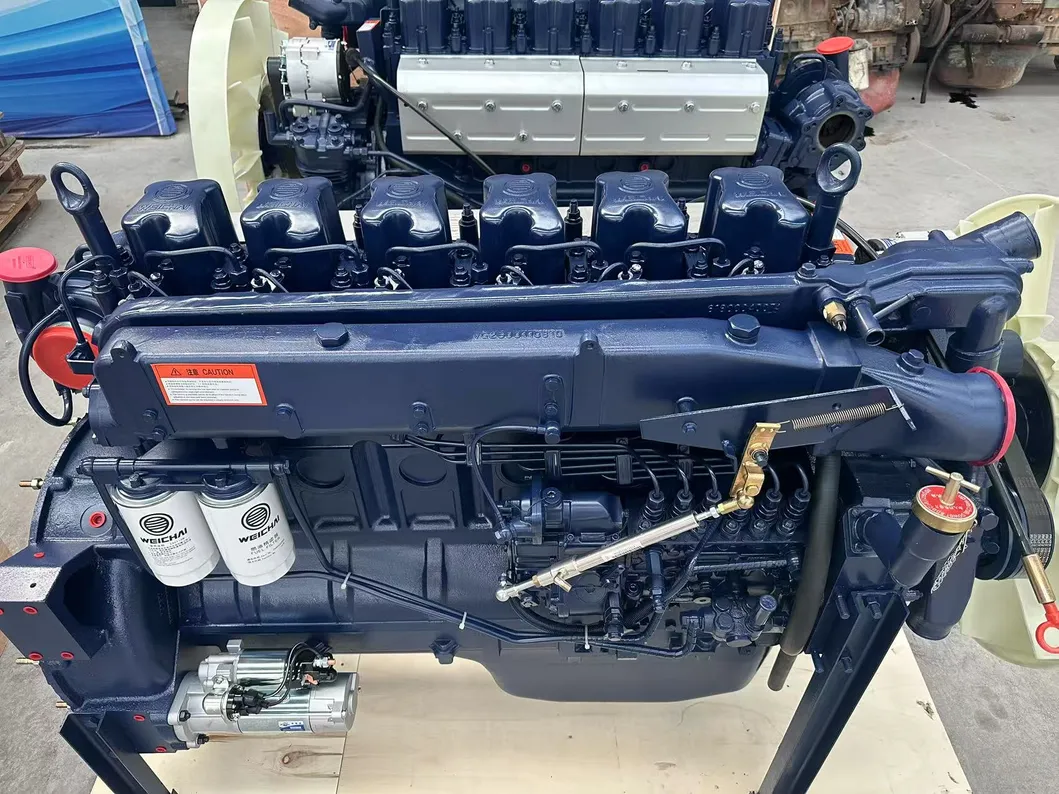 WD12.420E31 Engine View 1
