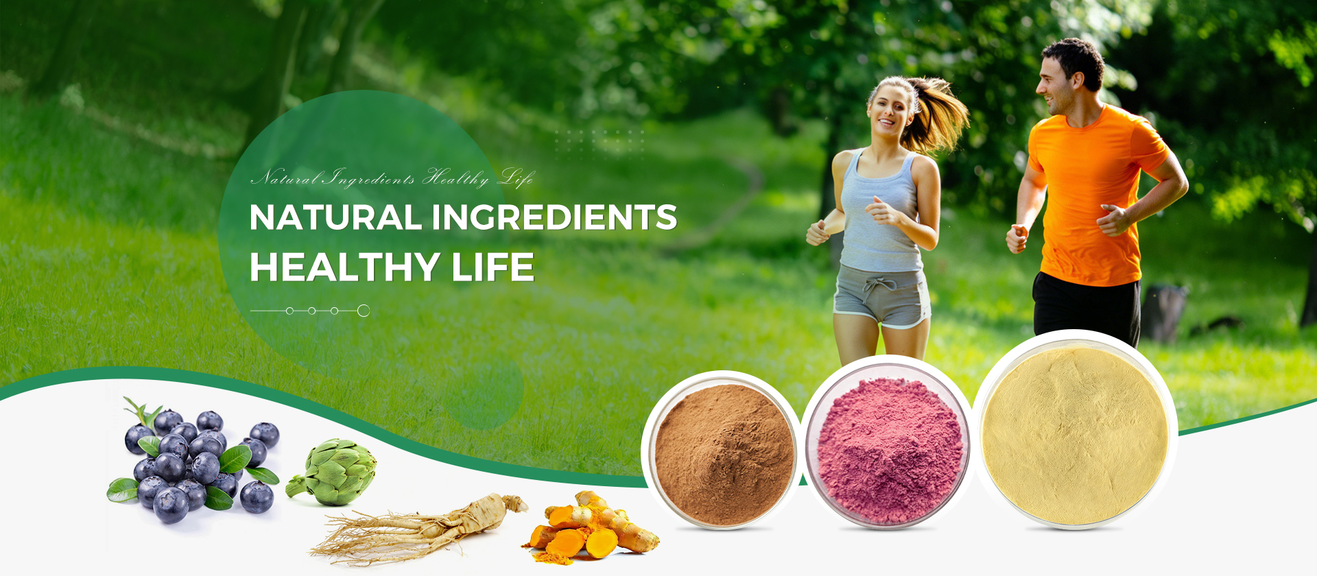Natural botanical raw materials sourced for ShineHerb plant extract production