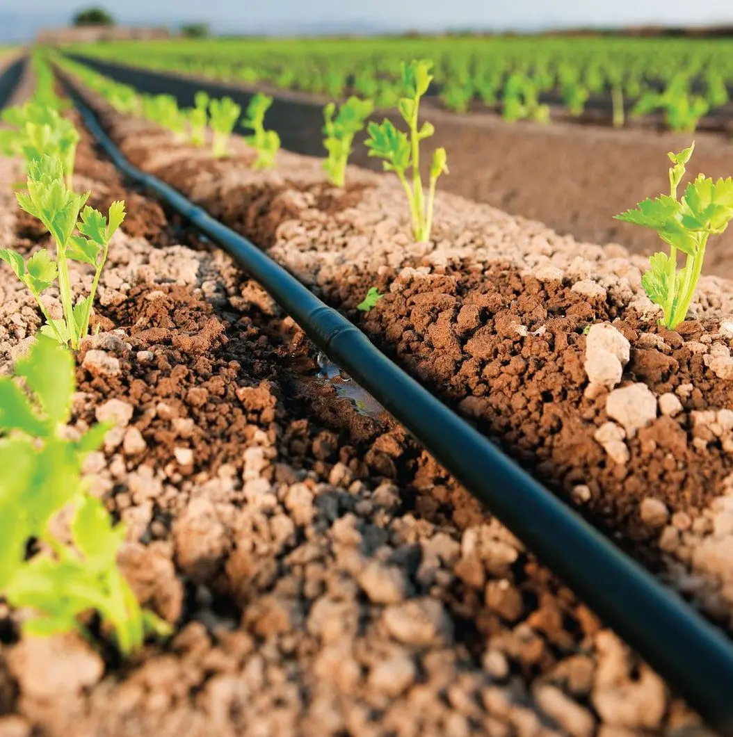 Wholesale Agriculture drip irrigation pipe hose with cylindrical dripper Manufacturers, Suppliers