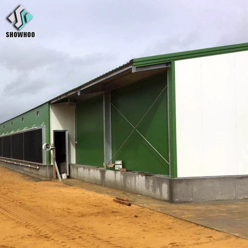Estrutura de Aço Modular Industrial Totalmente Automatizada para Galpão de Frangos de Corte Edifício de Criação de Aves