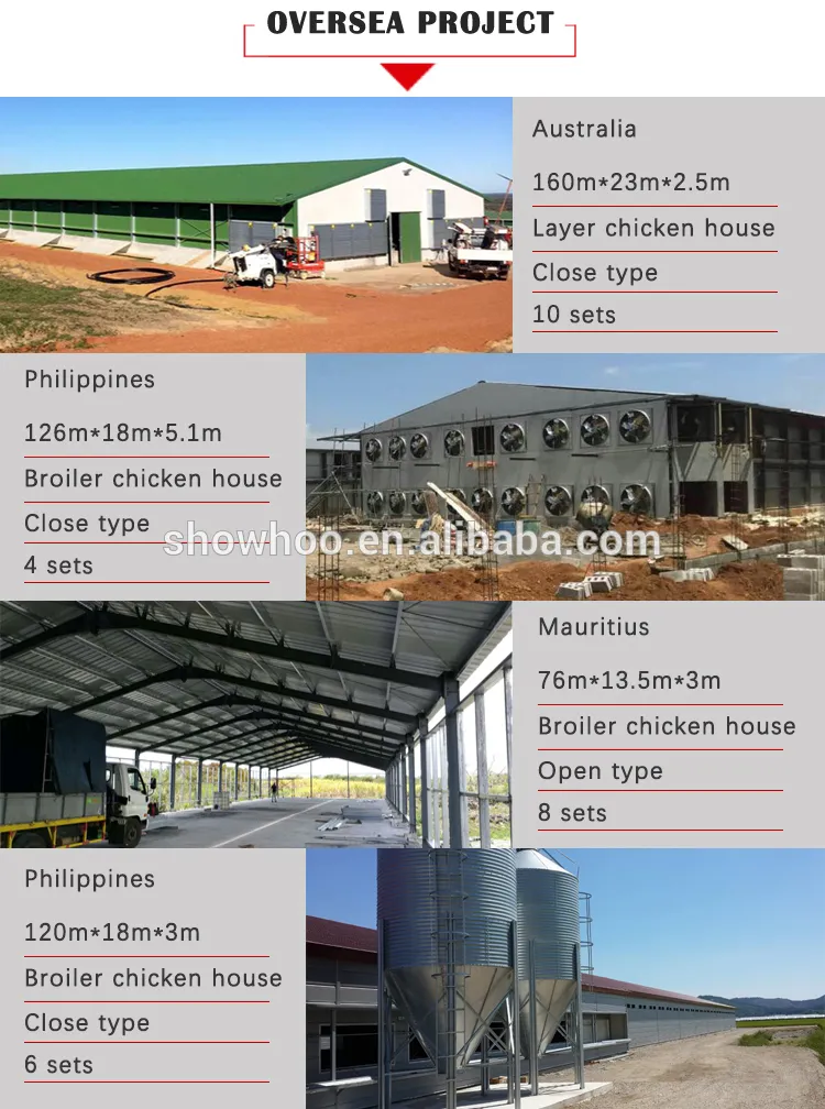 Estrutura de Aço Modular Industrial Totalmente Automatizada para Galpão de Frangos de Corte Edifício de Criação de Aves
