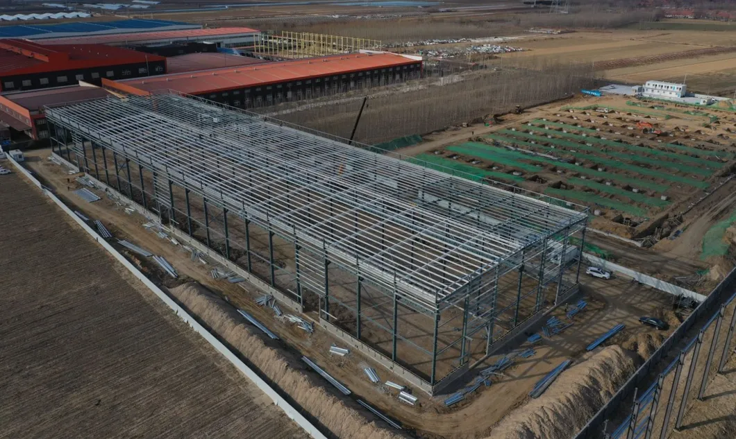 Estrutura de Metal Aço Modular Pré-fabricada para Indústria Comercial de Oficina e Fábrica