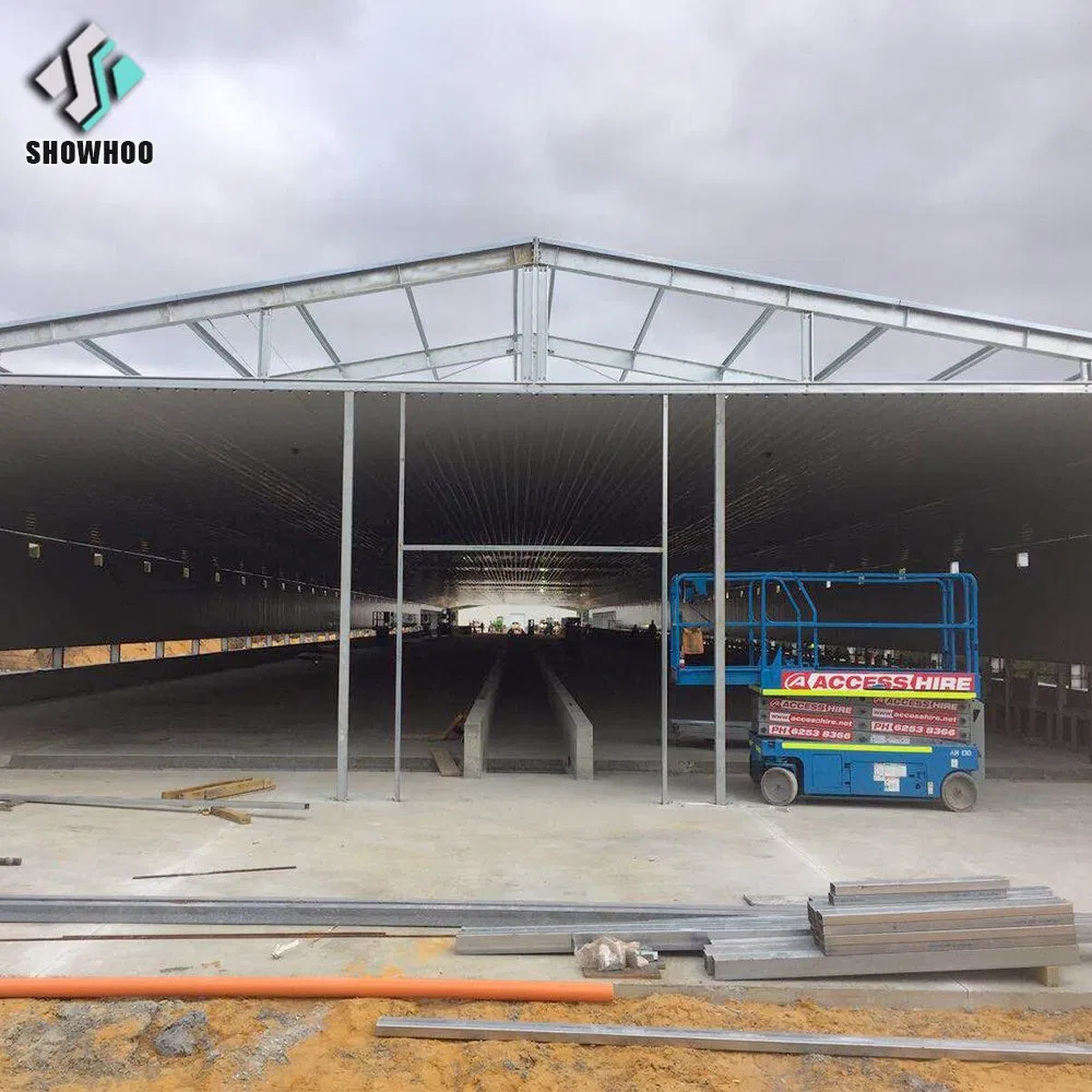 Estrutura de Aço Modular Industrial Totalmente Automatizada para Galpão de Frangos de Corte Edifício de Criação de Aves