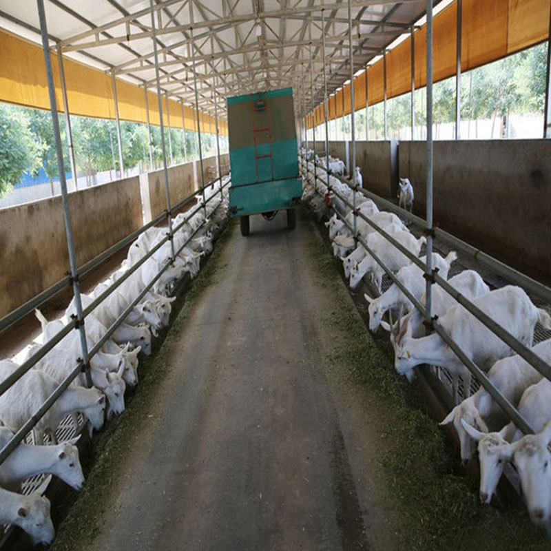 China Design Edifícios Estrutura de Aço Prefabricados Casa de Fazenda