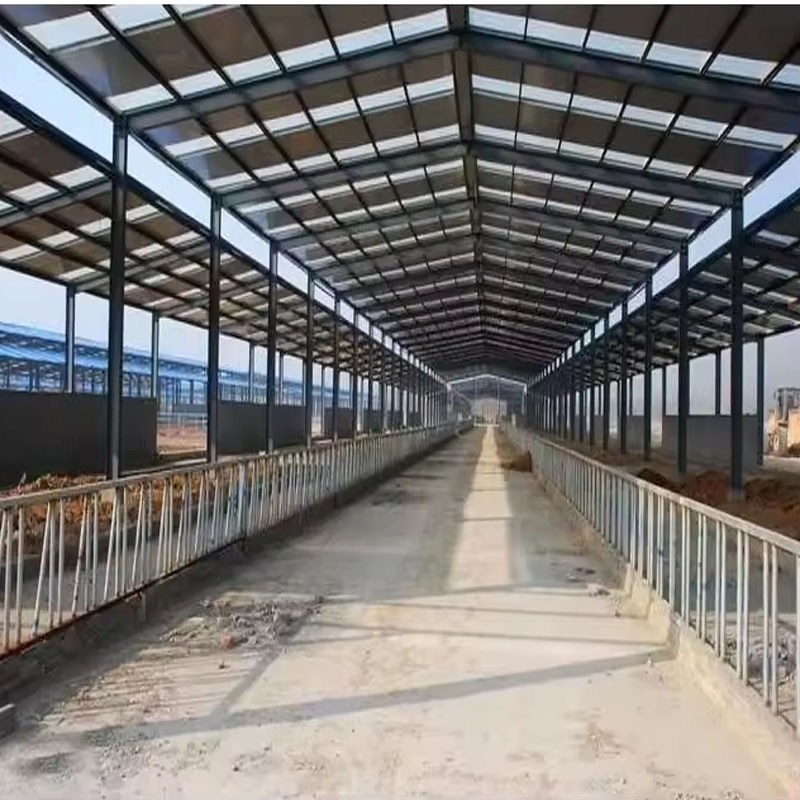 China Design Edifícios Estrutura de Aço Prefabricados Casa de Fazenda