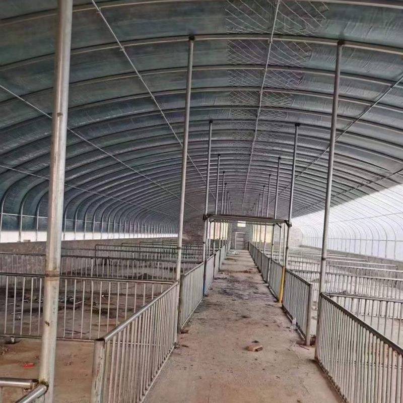Estrutura Modular de Aço Leve Pré-fabricada para Casa de Fazenda de Aves