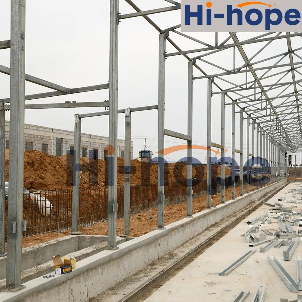 Construção de Galpão de Frango de Alta Resistência Soluções Modulares Personalizadas Crescimento Rápido Sensores Inteligentes Baixa Mortalidade