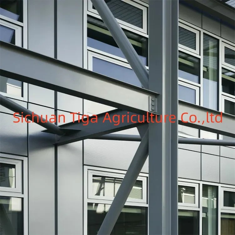 Edifícios de Apartamentos de Vários Andares e Edifícios Modulares de Aço de Alto Nível, Solário, Casas Acessíveis para Hotel, Escritório, Shopping Center, Galpão