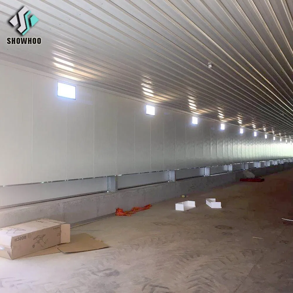 Estrutura de Aço Modular Industrial Totalmente Automatizada para Galpão de Frangos de Corte Edifício de Criação de Aves