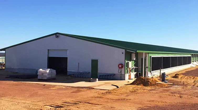 Estrutura de Aço Modular Industrial Totalmente Automatizada para Galpão de Frangos de Corte Edifício de Criação de Aves