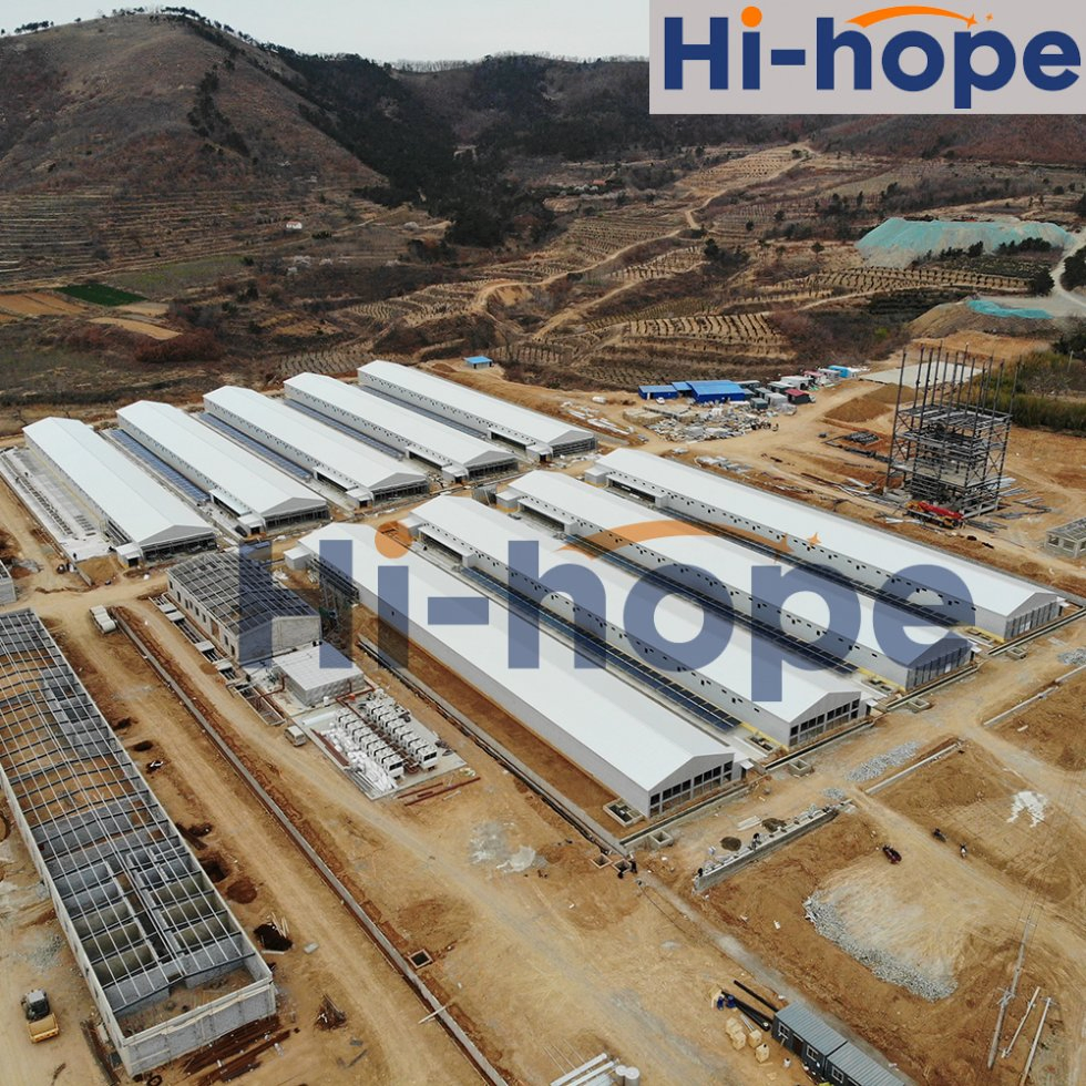 Edifício de Galinheiro Ventilado e Confortável Modular Coleta de Ovos Automatizada Alta Produção Sensores Inteligentes Materiais Duráveis