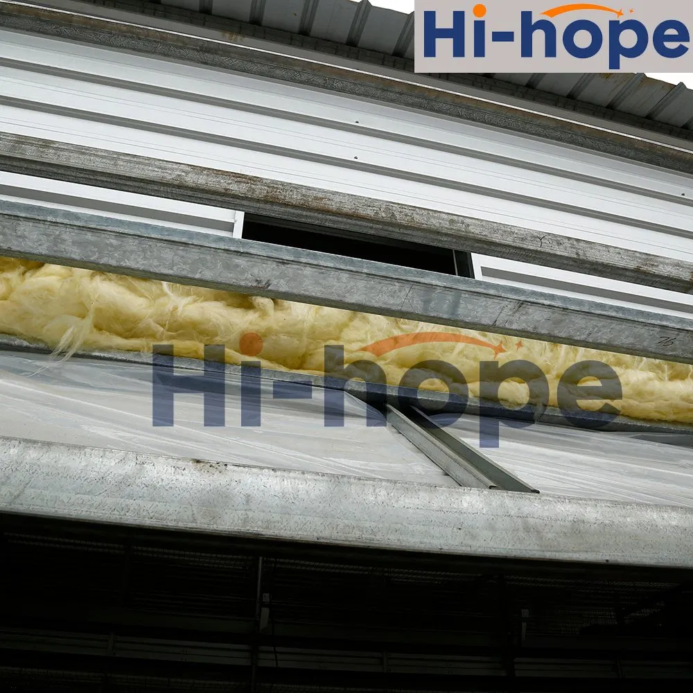 Crescimento Rápido Fazenda de Frango Edifício Modular Produção Otimizada Ventilação Confortável Iluminação Inteligente Materiais Duráveis