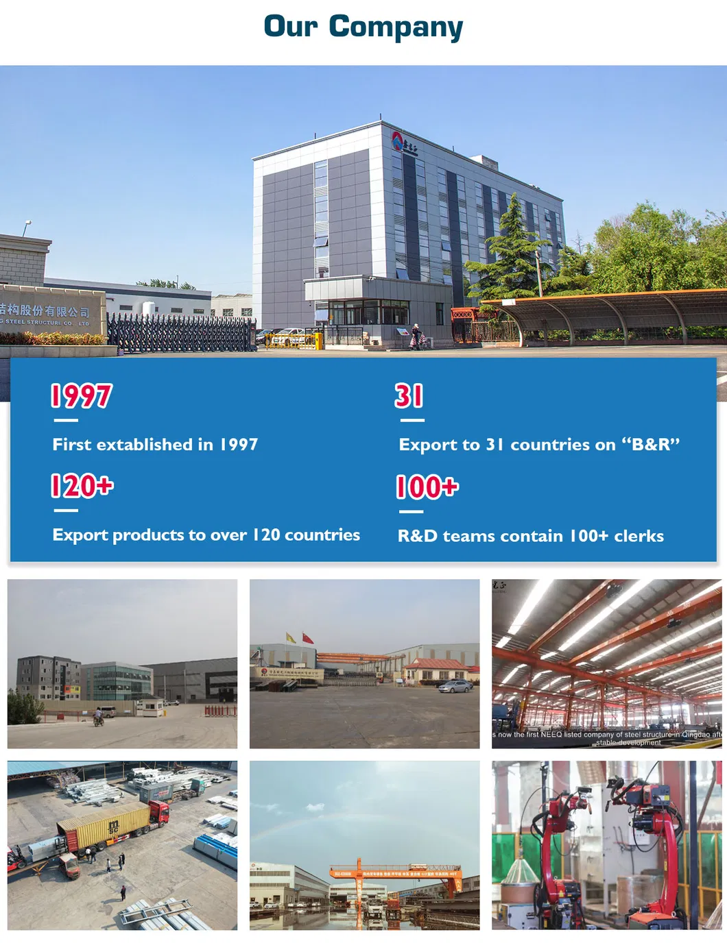 Infográfico do perfil da empresa
