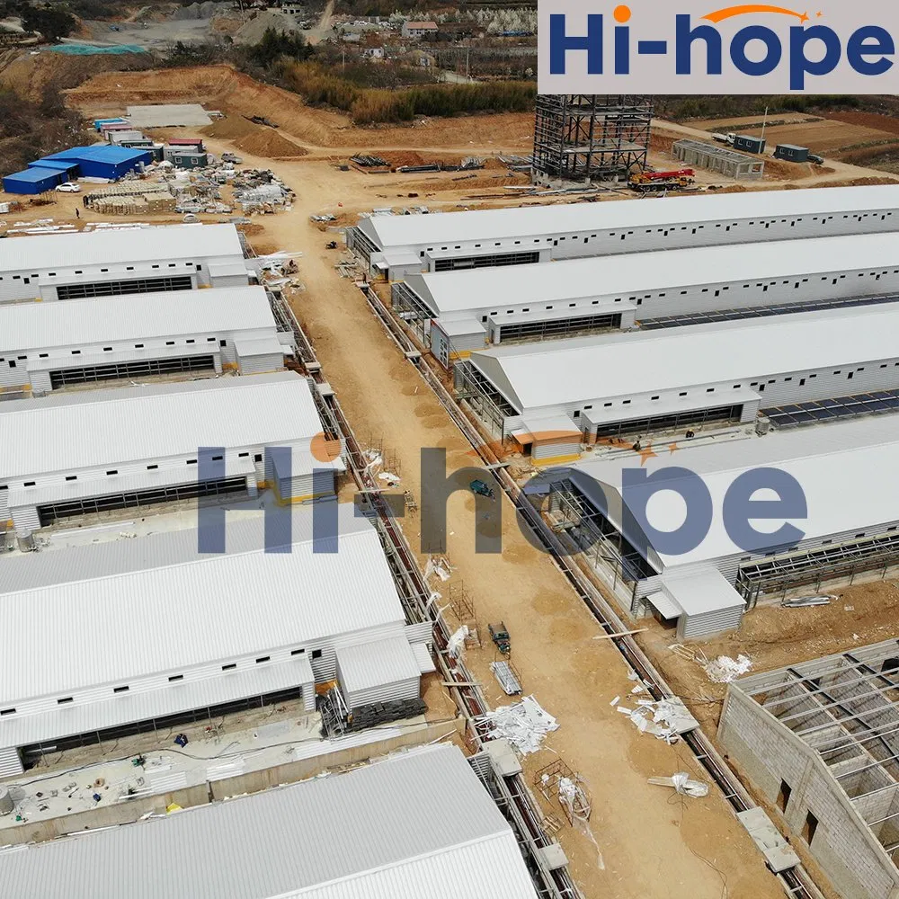 Construção de Galpão de Frango de Alta Resistência Soluções Modulares Personalizadas Crescimento Rápido Sensores Inteligentes Baixa Mortalidade