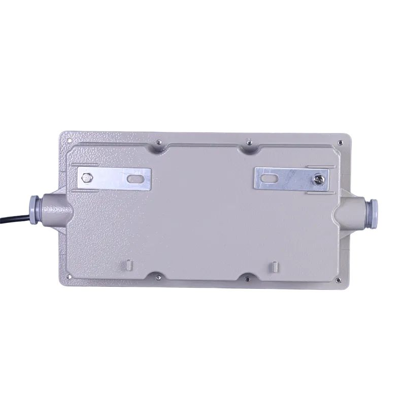 Iluminação LED de Sinalização de Saída de Emergência Personalizada à Prova de Explosão para Ambientes Industriais Externos e Internos ATEX Luz de Escape 3W