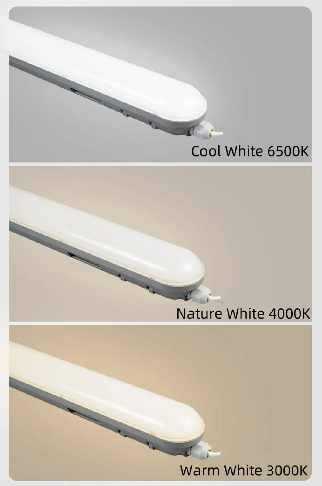 Fotos Detalhadas Luz LED Tri-Proof 4