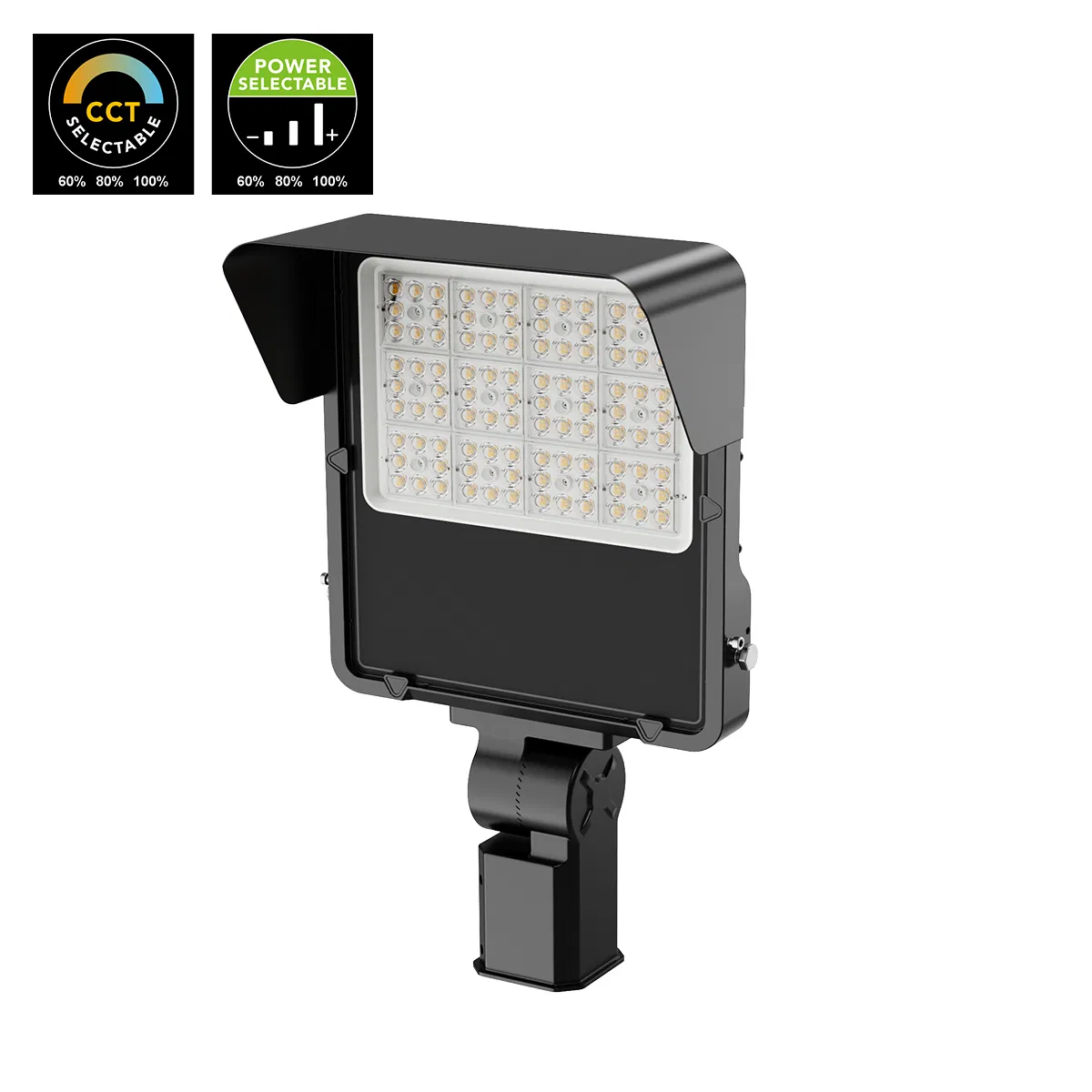Iluminação LED de Inundação Externa ETL Dlc 5 Anos de Garantia RGB 50W 100W 200W 240W IP65 Iluminação LED de Inundação à Prova d'Água