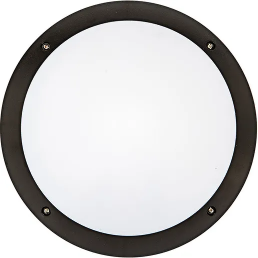 12W Luz de Teto Redonda LED