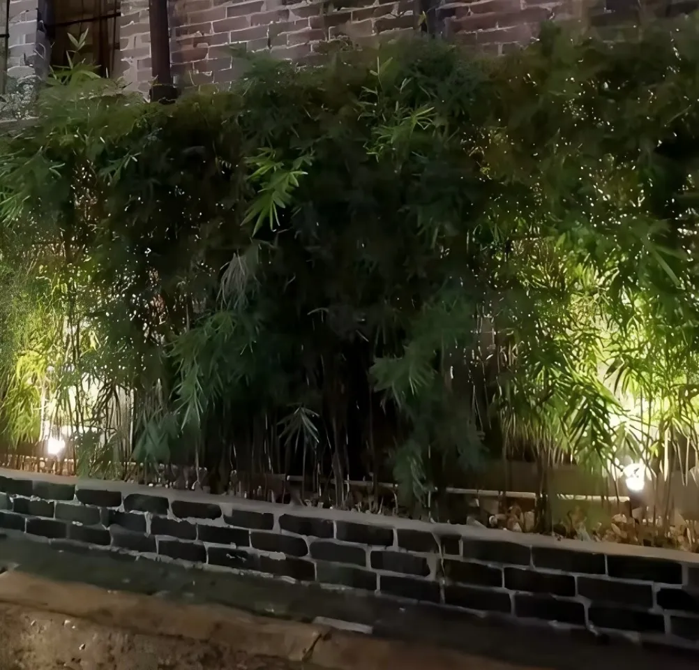 Parâmetros de Iluminação Externa