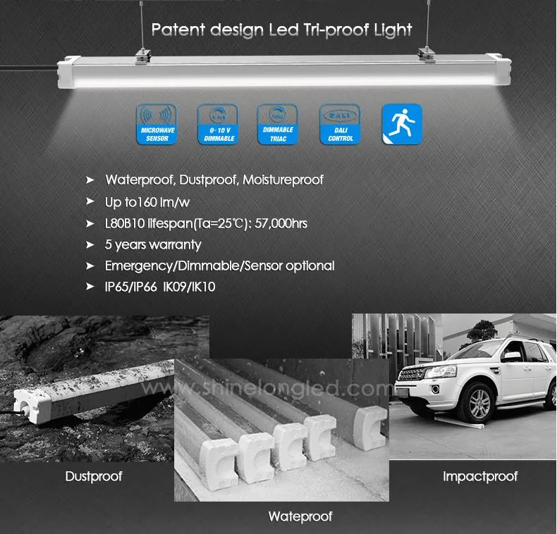 IP66 Luz LED Tri-Proof à Prova d'Água