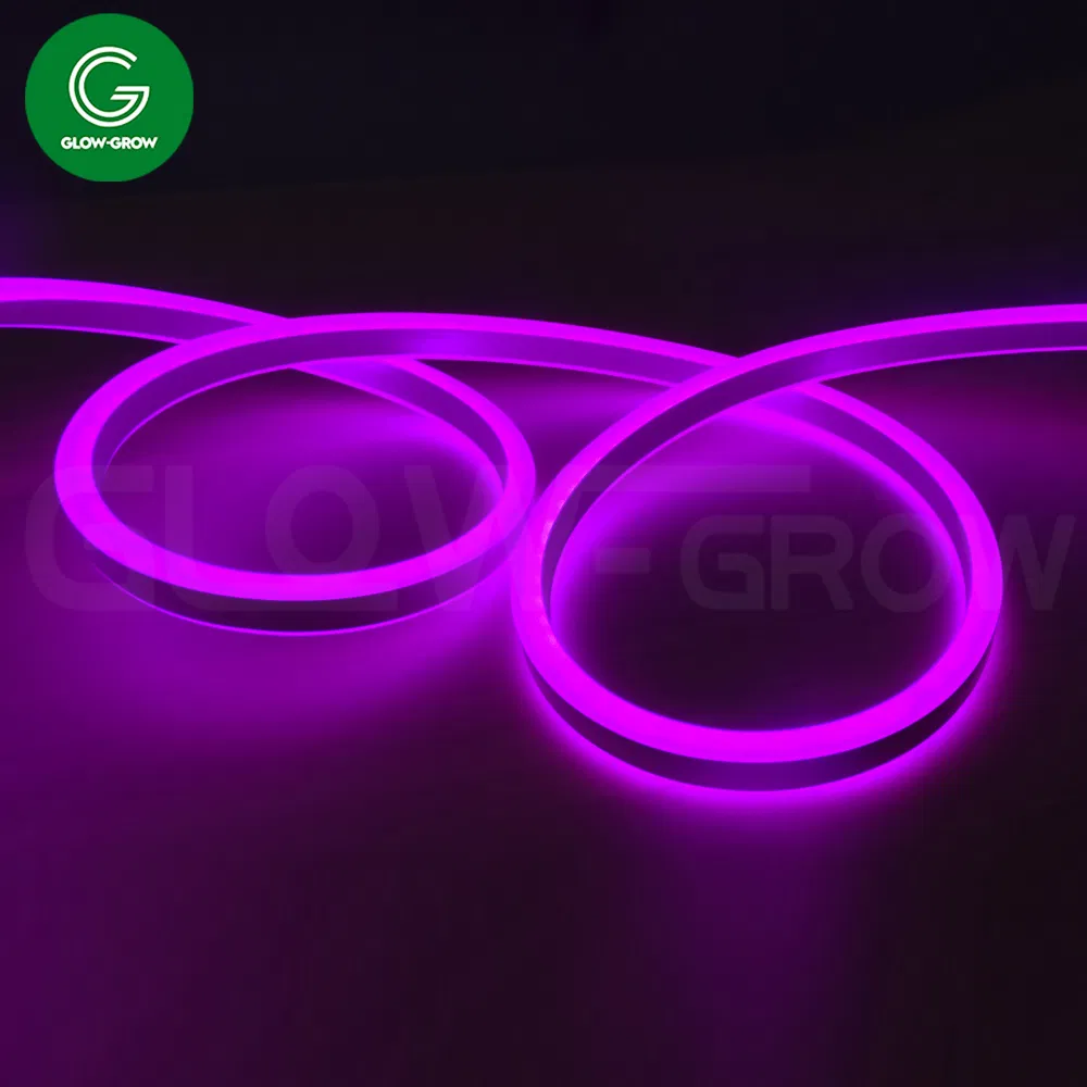 Fábrica UL ETL 8*16mm Iluminação Amarelo LED Neon Flex para Natal Decoração de Jardim e Paisagismo com LED