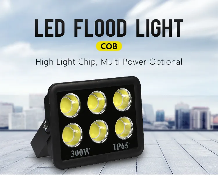Lanterna de Inundação LED à Prova de Explosão de Alta Tensão 30W 40W 60W 80W Iluminação de Holofote para Exterior