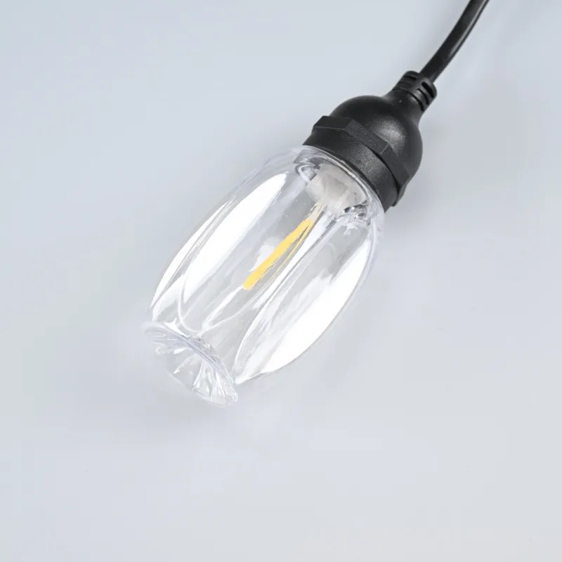 Detalhe Luzes de Cordão