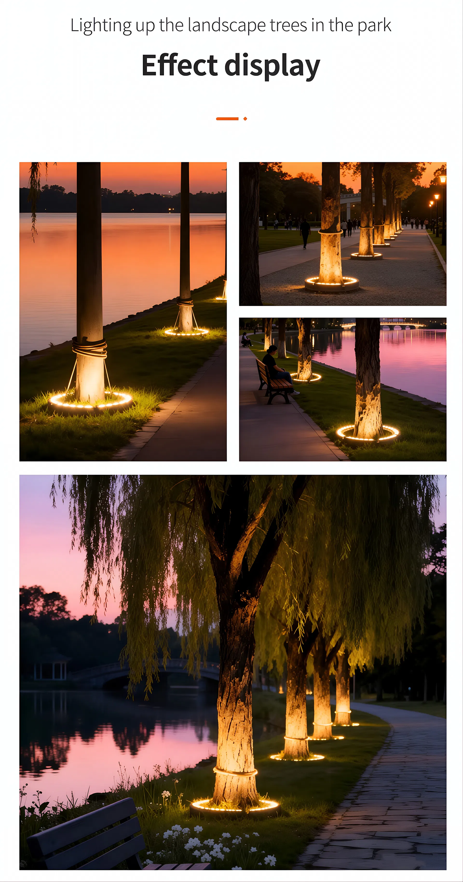 Projetos de Iluminação de Árvores com Luminária de Anel