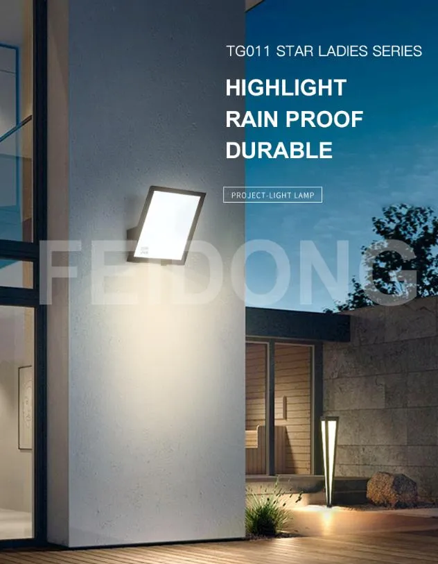 Iluminação LED à Prova d'Água RGB Durável Preço Competitivo para Exterior Controle Remoto IP66 10W-100W Dimming Durável Proteção contra Surto 10kv Proteção contra Raios Luz de Inundação CCT