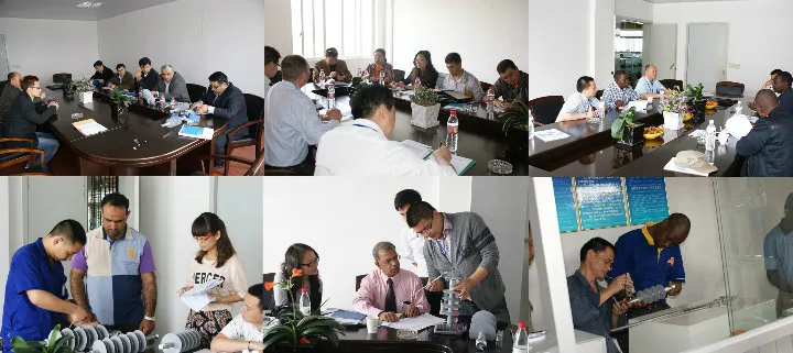 معدات إنتاج عازل التعليق المركب