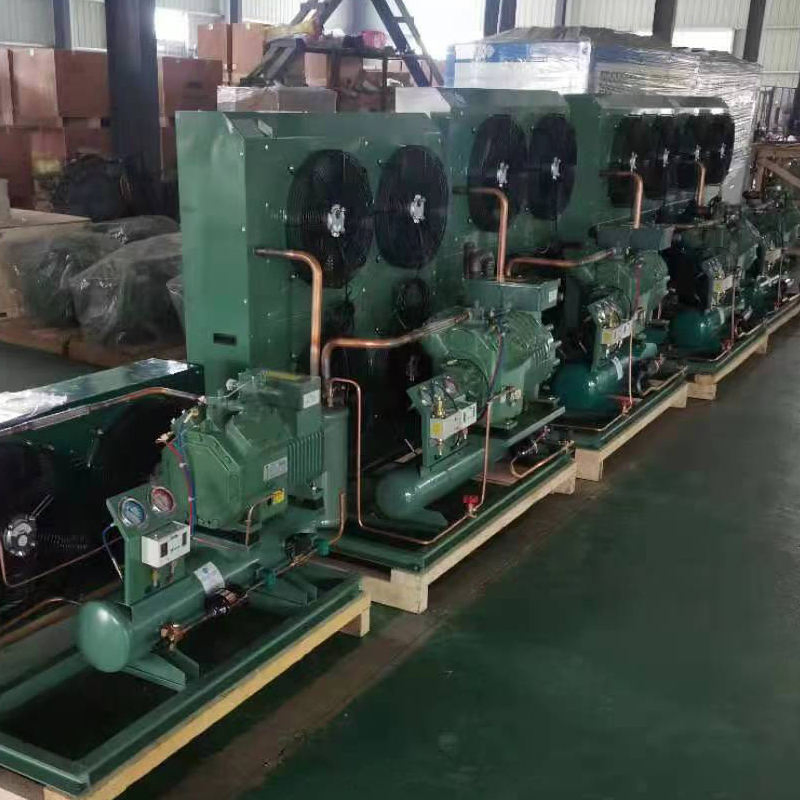Energy Efficient 20HP Air Cooled Condensing Unit for Commercial and Industrial Cold Storage Solutions