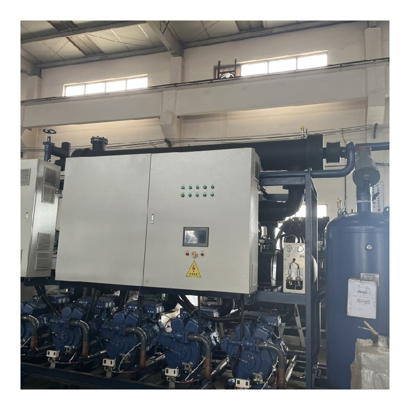 Energy Saving Pioneer Rapid Start up Cooling Compressor Cold Room Air-Conditioning Unit