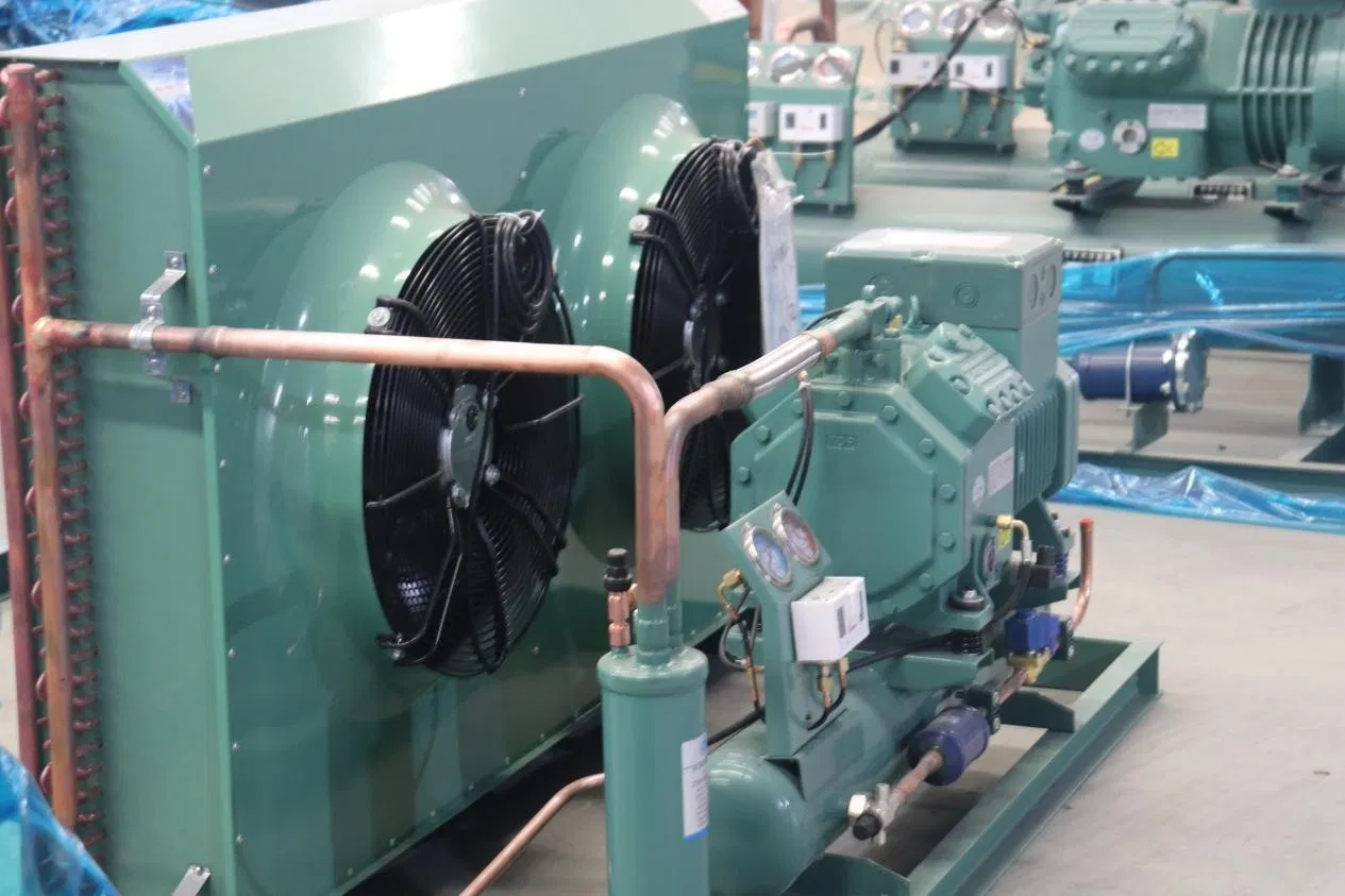Bitze R Original Semi-Hermetic Air-Cooled Condensing Unit with Energy Saving Refrigeration