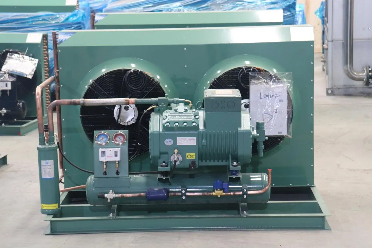 Bitze R Original Semi-Hermetic Air-Cooled Condensing Unit with Energy Saving Refrigeration