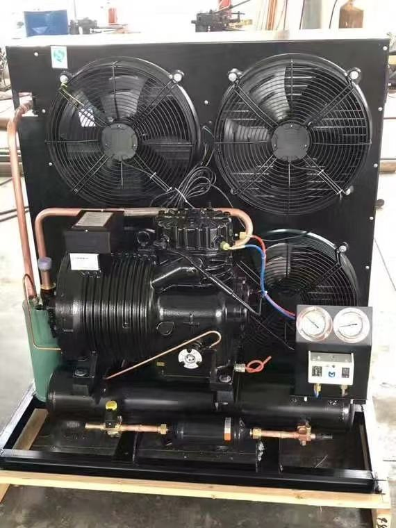 Energy Efficient 20HP Air Cooled Condensing Unit for Commercial and Industrial Cold Storage Solutions