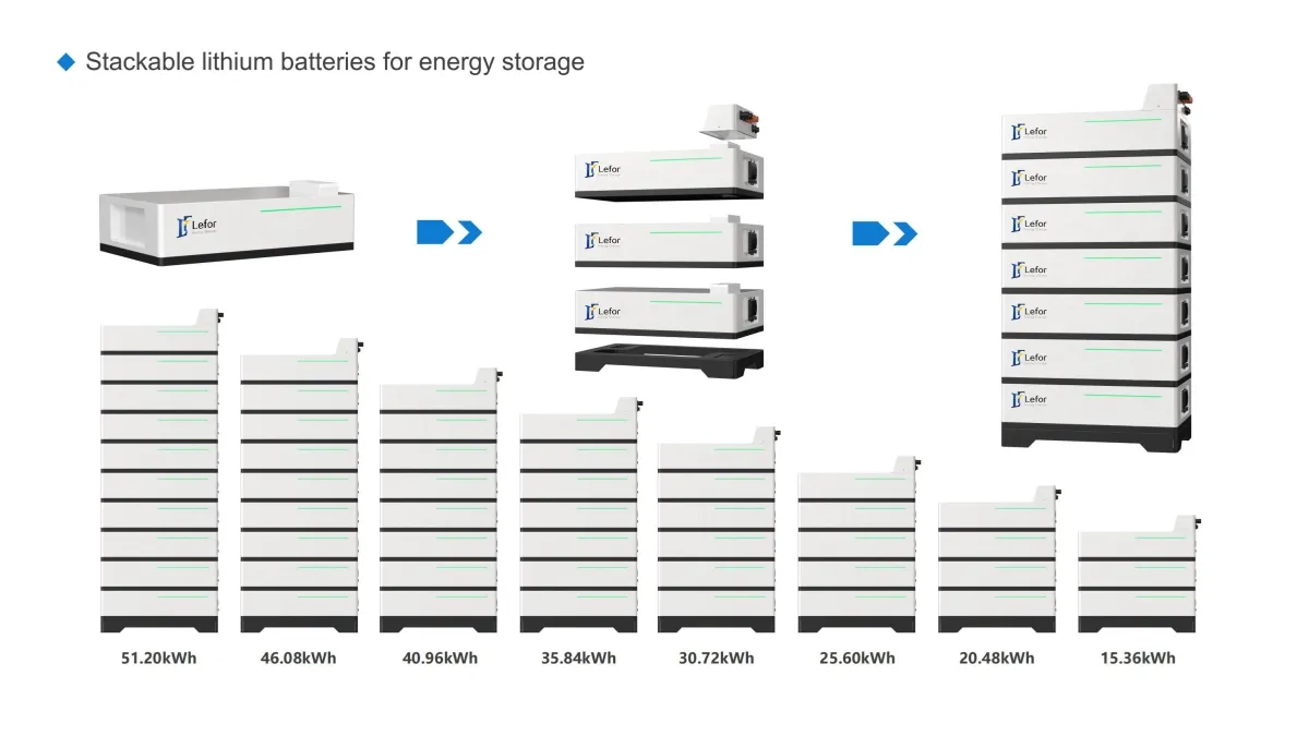 Rechargeable Lithium Iron Phosphate Battery Pack