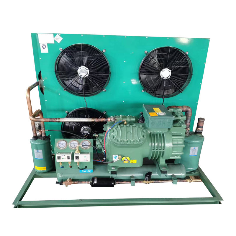 Energy Efficient 20HP Air Cooled Condensing Unit for Commercial and Industrial Cold Storage Solutions