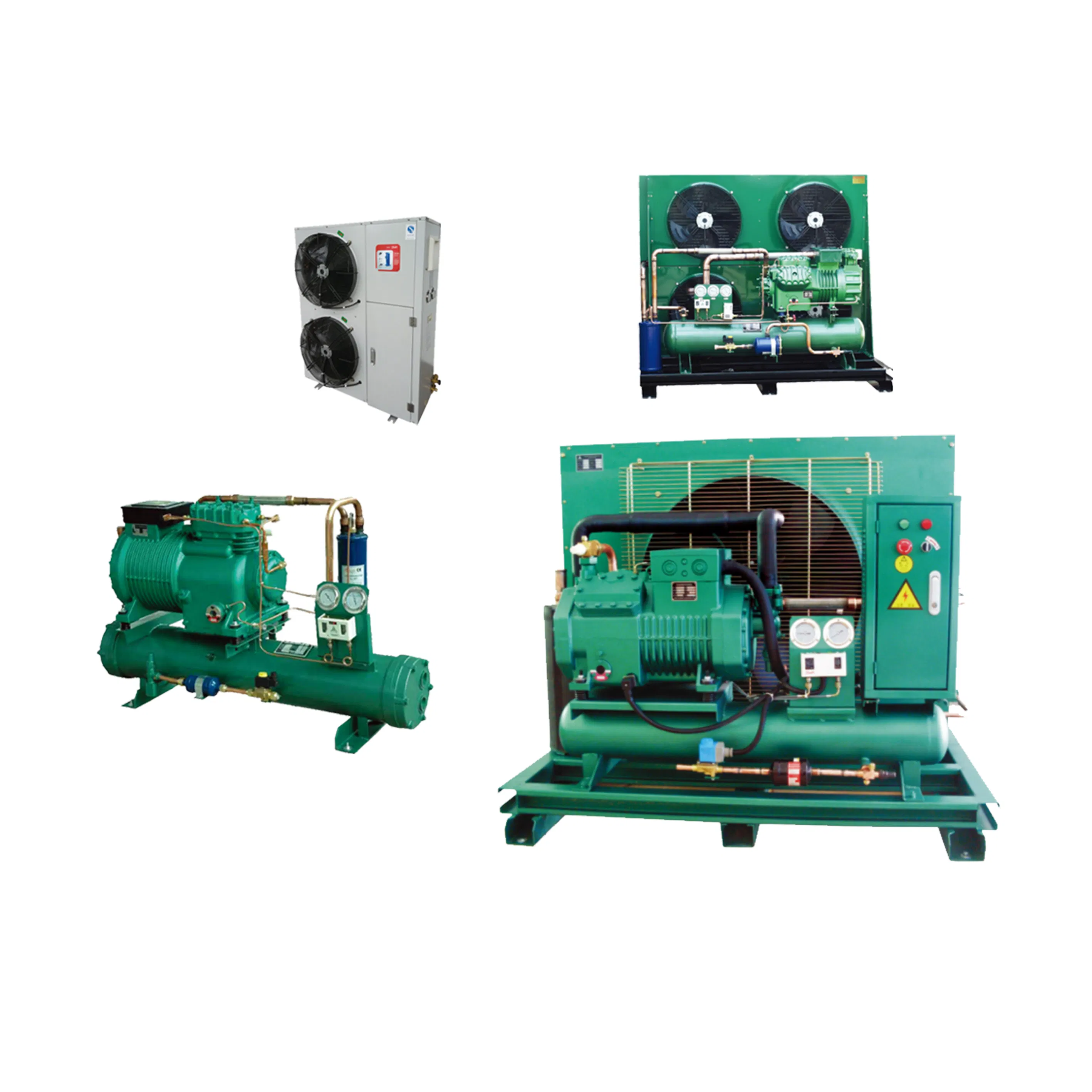 Water Cooled Cold Storage Unit with High Capacity Germany Brand Compressor