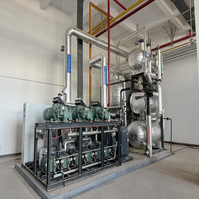 Industrial Cold Storage Project Energy Saving Refrigeration Custom Compressor Unit