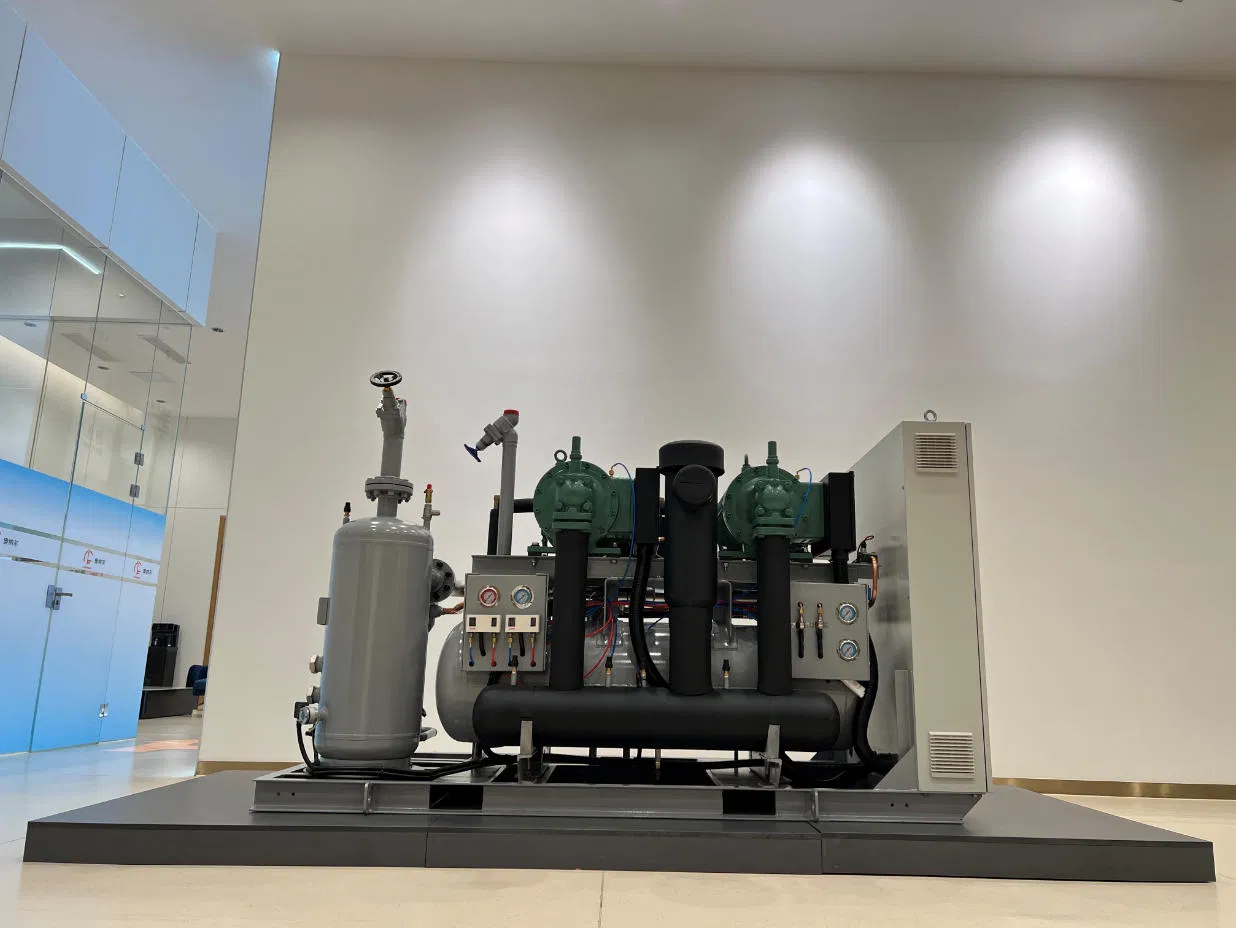 Energy Efficient Condensing Compressor Unit Industrial Refrigeration Compressor Unit for Cold Storage