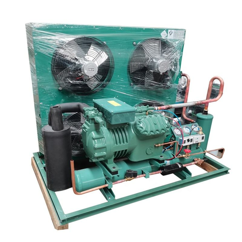 Energy Efficient 20HP Air Cooled Condensing Unit for Commercial and Industrial Cold Storage Solutions