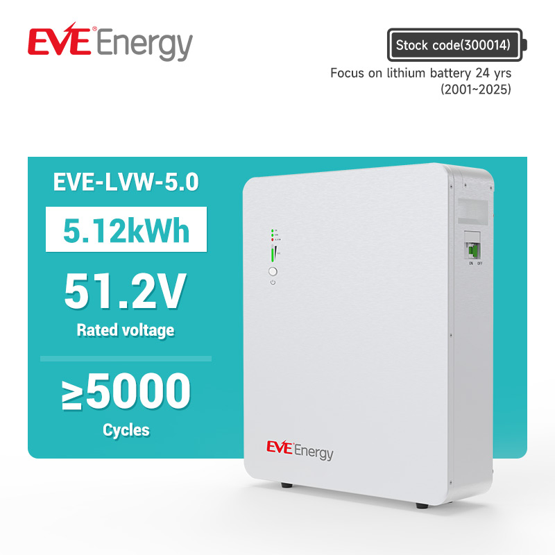 Eve 5kwh 100ah 51.2V Home Energy Storage System Wall Mounted Battery Solar Power Storage System