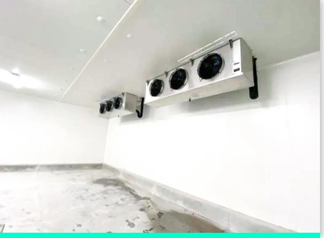 Meat Storage