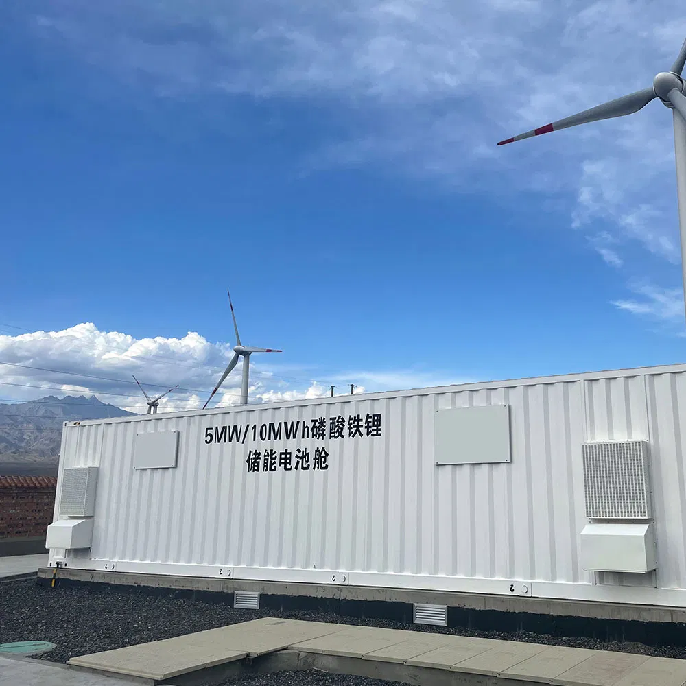 Customized ESS Container